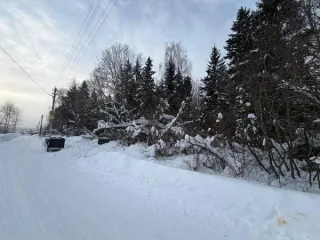 Земельный участок 2000 кв.м, Московская область. Кадастровый номер 50:08:0060101:811. Основной вид разрешенного использования: 2.2.