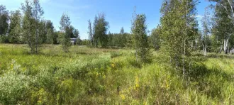 Земельный участок 401 кв.м Омская область, Омский район, село Новотроицкое Кадастровый номер: 55:20:150701:4500 Площадь: 401 кв.м Вид права: Собственность Категория земель: Земли населенных пунктов Вид разрешенного использования: Для размещения домов индивидуальной жилой застройки Кадастровая…