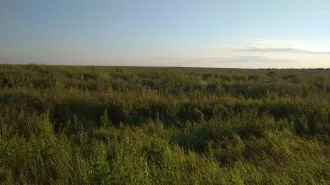Земельный участок 1009 кв.м, Пермский край, под жилую застройку Индивидуальную. Кадастровый номер: 59:32:3290001:2638. Местоположение: край Пермский, р-н Пермский, с/п Усть-Качкинское, п. Красный Восход. Площадь: 1009 +/- 6