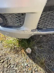 ВАЗ 21113 2002 года выпуска, VIN XTА21113020123293. Транспортные средства марок Toyota Sprinter (подлежит реализации как годные остатки); УАЗ-39094; Toyota Sprinter с госномером В123 АХ04; ВАЗ 21113; ГАЗ-3110; мотоцикл Racer RC-110; ВАЗ 21213; Mitsubishi Lancer; Nissan Sunny; ВАЗ 21099; мотоцикл…