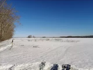 Доля в размере 1/2 в праве общей долевой собственности на земельный участок, категория земель: земли сельскохозяйственного назначения – для ведения сельскохозяйственного производства, площадь: 337 000 кв. м, кадастровый номер 54:13:025312:349, местоположение: Новосибирская область, Краснозерский…