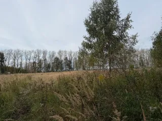 Земельный участок КН 50:37:0050601:697, 1554 кв.м, Московская область. Площадь земельного участка: 1554. Кадастровый номер земельного участка: 50:37:0050601:697. Основной вид разрешенного использования: 2.1