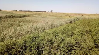 ГТС водохозяйственного объекта согласно учетной карточке № 1733003 Балка Салантырь, кадастровый номер 61:33:0600002:404 Общее техническое состояние гидротехнического сооружения оценивается как работоспособно (продолжает выполнять заданные функции), но неисправно; неудовлетворительное состояние…