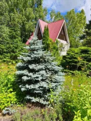 Дом 91,3 кв.м и два участка по 900 кв.м, Московская обл., Клинский р-н. Граничащие (смежные) между собой земельные участки: Земельный участок №1: Кадастровый номер 50:03:0050430:136; Виды разрешенного использования объекта недвижимости - для ведения садоводства; местоположение установлено…