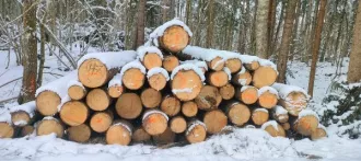 Годные остатки: древесина породы «ель», 438,41 куб. м. Реализуется в качестве годных остатков, а также в качестве вторичного сырья, лома, утиля. Описание лота см. в разделе "документы" п. 3 извещения (информационного сообщения). Имущество продается в том виде, в каком оно есть, и в случае продажи…