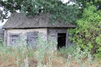 Земельный участок 2665 кв.м с постройками в Воронежской области, Бобровский район, село Шестаково, улица Набережная, дом 59. В состав входят: земельный участок площадью 2665 кв.м; конюшня площадью 54,6 кв.м; сарай площадью 19,5 кв.м; сарай площадью 91,4 кв.м; сарай площадью 26,8 кв.м; контора…