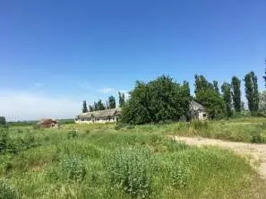 Право аренды земельного участка площадью 70 000 кв.м., категория земель: земли населенных пунктов, вид разрешенного использования: овощеводство, кадастровый номер 23:15:0602000:323, расположенный по адресу: Краснодарский край, Крымский район, в границах ТОО «Горизонт», секция 9, часть контура 8…