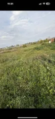 Земельный участок 1019 кв.м, Башкортостан, д. Наумкино, Ударная, дом 19б, кадастровый номер 02:05:240102:294, вид собственности: совместная. Разрешенное использование: для ведения личного подсобного хозяйства, земли населенных пунктов.
