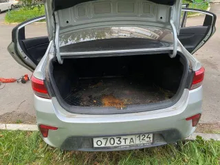 Kia Rio 2019 года, 123 л.с., пробег 215069 км, автоматическая коробка передач. VIN: Z94C241BBKR130835.