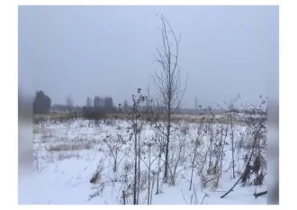 Земельный участок, площадью 600 кв.м, с кадастровым номером 76:04:033901:2415, расположенный по адресу: Россия, Ярославская область, Гаврилов-Ямский р-н, с/п Заячье-Холмский, с Унимерь. Отсутствуют постройки. Подъезд к участку возможен на автомобиле по грунтовой дороге. На момент публикации…