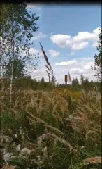 Земельный участок 2269 кв.м. для ИЖС Калужская область Земельный участок, общей площадью 2269 +/- 17 кв.м., кадастровый номер: 40:24:100213:92, виды разрешенного использования объекта недвижимости- для индивидуального жилищного строительства, расположенный по адресу: Калужская область, р-н…