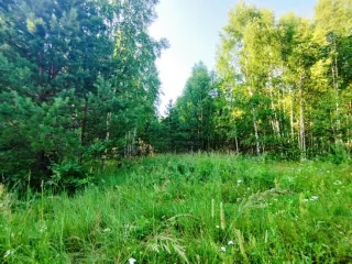 Земельный участок, 495300 кв.м, Нижегородская область, Сокольский район Имущество АО «КАПИТАЛ АСИСТАНС»: земельный участок, кадастровый номер 52:07:0800006:1592, 495300 кв.м. Земельный участок для индивидуального жилищного строительства, земли населенных пунктов, кадастровый номер…