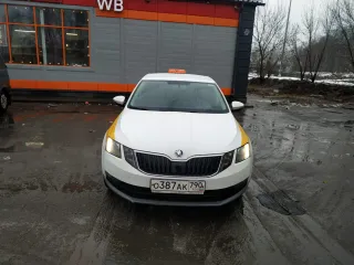 Skoda Octavia 2020 года выпуска, VIN XW8AN2NE6LH026490.