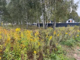 Земельный участок КН 50:16:0501007:1549 588 кв.м Площадь земельного участка: 588 Кадастровый номер земельного участка: 50:16:0501007:1549 Основной вид разрешенного использования: 2.1