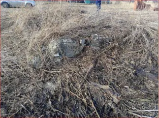 Земельный участок площадью 1400 кв.м, расположенный по адресу: Курганская область, Далматовский район, с. Новопетропавловское, ул. Советская, д. 25. Кадастровый номер: 45:04:040302:6. На участке расположено незарегистрированное строение (кад. номер 45:04:040302:428), находящееся в ветхо-аварийном…