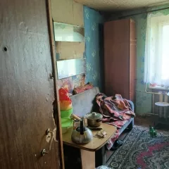 Жилое помещение, площадью 13.5 кв. метра, с кадастровым номером 52:21:0000115:8459
Находящаяся по адресу: Нижегородская область, г. Дзержинск, ул. Молодежная, д.3, к.15(2)
На имущество наложены ограничения в виде запрета на регистрационные действия