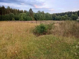 Земельный участок 1200 кв.м в Кировской области, пгт Юрья, ул Луговая. Площадь 1200+/-12 кв.м, назначение: земли населенных пунктов. Кадастровый номер: 43:38:280145:541. Находится в совместной собственности.