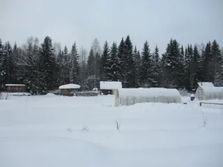 Земельный участок по адресу: Пермский край, г. Лысьва, Коллективный сад № 26, участок № 15, кадастровый номер 59:09:0760101:15, площадью 1500 кв.м. Разрешенное использование - для садоводства, категория земель - земли сельскохозяйственного назначения.