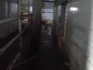 Здание (50:06:0000000:4427  1 037.70 кв.м. Московская область, Шаховской район, Бухоловский с.о., дер.Бухолово)
Кормораздатчик КТ-10
Полуприцеп тракторный герметичный ПТСЕ-6
Маты
Охладитель молока
Доильный зал "Елочка" - Поилки
Навозоуборочный транспортер ТСН-160АМ
Скважина
Мойка…