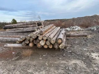 Drevesina assortiment. Древесина в ассортименте согласно приложению. Проверка исправности имущества не проводилась. Товаросопроводительные документы не передавались. Погрузка и транспортировка имущества с места хранения осуществляется покупателем силами и за его счет. Продавец не несет…