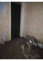 Квартира 38.9 м², кадастровый номер: 27:11:0010103:377. Имеются обременения: запрещение регистрации: 1. 27:11:0010103:377-27/020/2024-13 2. 27:11:0010103:377-27/020/2023-12 3. 27:11:0010103:377-27/022/2021-11 4. 27:11:0010103:377-27/020/2018-4 5. 27:11:0010103:377-27/048/2018-2 Снятие ограничений…