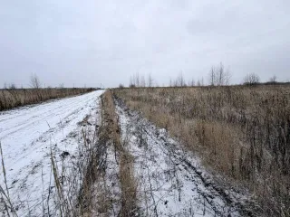 Земельный участок 600 кв.м в Московской области, городской округ Раменский, деревня Аргуново. Кадастровый номер: 50:23:0050573:1513. Площадь: 600 +/- 17 кв.м. Категория земель: сельскохозяйственного назначения. Вид разрешенного использования: для ведения садоводства.