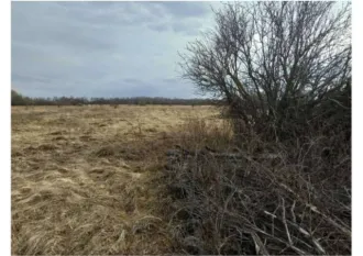 Право аренды земельного участка площадью 10000 +/- 70 кв.м, категория земель: земли населенных пунктов, виды разрешенного использования: для ведения личного подсобного хозяйства, с кадастровым номером 21:06:270201:25, находящегося по адресу: Чувашская Республика - Чувашия, р-н Алатырский, с/пос…