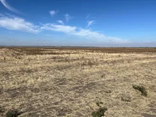 земельный участок площадью 12 304 кв.м., категория земель: земли сельскохозяйственного назначения, для ведения крестьянского (фермерского) хозяйства, кадастровый № 61:02:0600017:2921, должник Громенко И.Н., (Поручение ТУ Росимущества в РО от 29.04.2025 № 61-615-У). Адрес (местоположение)…
