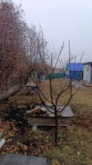 Земельный участок, площадь: 652 кв.м., категория земель: Земли населенных пунктов, разрешенное использование: для ведения личного подсобного хозяйства, кадастровый номер: 73:13:021405:328
Адрес (местонахождение): Российская Федерация, Ульяновская область, Радищевский район, с. Калиновка