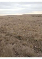 Земельный участок 351 600 кв.м, Оренбургская область, Кваркенский район 1/6 доля земельного участка в Оренбургской обл. еще 1/6 доля земельного участка в Оренбургской обл. еще 1/6 доля в праве на земельный участок, площадь: 351 600кв.м., адрес (местонахождение): Российская Федерация, Оренбургская…