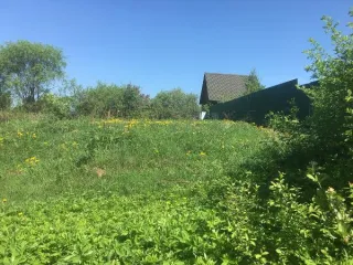 Земельный участок 906 кв.м, Московская область, площадью 906 кв.м, кадастровый номер 50:13:0030201:572, основной вид разрешенного использования: 2.1