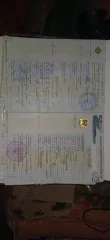 Volkswagen Passat, 2012 года, 122 л.с., автомобиль легковой, марка: Volkswagen, модель: Passat, VIN: WVWZZZ3CZCP056301, гос. рег. номер: М020АВ35, год изготовления: 2012