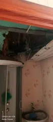 3/4 доли дома 57,5 кв. м и 3/4 доли участка 426 кв. м, Алтайский край, Бийск, земельный участок, кадастровый номер 22:65:017213:6, 426 кв. м., ¾ доли, Алтайский край, г. Бийск, ул. Раздольная, д. 17, жилой дом, кадастровый номер 22:65:017213:91, 57.5 кв.м., ¾ доли, Алтайский край, г. Бийск, ул…