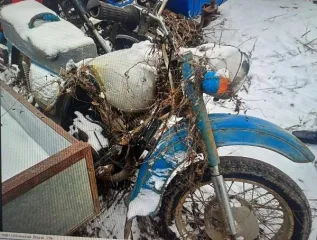 ВАЗ, LADA, Chevrolet, Nissan, Citroen, Daewoo, Renault, LIFAN, Mitsubishi. Легковые автомобили в различном техническом состоянии. Объем двигателя: 1499, 1587, 1568, 1489, 1399, 1598, 1349, 1498. Год выпуска: 2002, 1998, 2006. Государственный регистрационный знак: М584ВЕ57, Е203СМ57. Мощность…