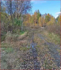 Земельный участок площадью 5178 кв.м. Адрес: Свердловская обл, г. Новоуральск, ул. Шевченко, дом 24. Категория земель: земли населенных пунктов. Разрешенное использование: для эксплуатации теплиц. Кадастровый номер: 66:57:0101008:147. Обременение: сервитут № 66-66-31/042/2006-001/1 от 30.03.2015.