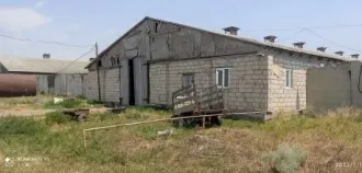Нежилое здание - птицефабрика, лит. А, общей площадью 1242,3 кв.м, кадастровый номер 06:01:0900001:1635; Нежилое здание - птичник, лит. Г1, общей площадью 1224,6 кв.м, кадастровый номер 06:01:0900001:1889; Земельный участок. Категория земель: Земли населённых пунктов, виды разрешенного…