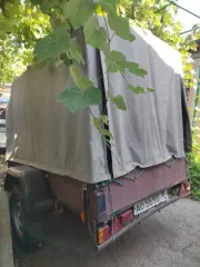 Прицеп 8213А5, 2013 года выпуска, VIN X8L8213A5D0112763, рег.номер АО5698 38, модель 8213А5