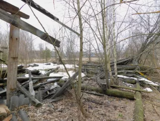 «Земельный участок  кад. № 62:05:0880101:112  площадью 1691 кв.м., по адресу Рязанская обл., Клепиковский р н, с. Ершово» «Земельный участок  кад. № 62:05:0880101:112  площадью 1691 кв.м., по адресу Рязанская обл., Клепиковский р н, с. Ершово»
