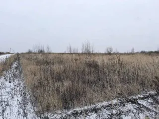 Земельный участок 600 кв.м в Московской области, городской округ Раменский, деревня Аргуново. Кадастровый номер: 50:23:0050573:1513. Площадь: 600 +/- 17 кв.м. Категория земель: сельскохозяйственного назначения. Вид разрешенного использования: для ведения садоводства.