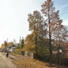 Земельный участок: категория: для ведения личного подсобного хозяйства, кадастровый номер: 45:25:030402:1002, площадью 600 кв.м, общая долевая собственность, доля в праве 1/2, Расположенный по адресу: Курганская обл., г. Курган, п. Сиреневый, ул. Пригородная, 10/2; 
Помещение: категория: жилое…