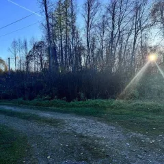 Земельный участок для садоводства 10 соток, Московская область. Категория земель: земли сельскохозяйственного назначения. Виды разрешенного использования: для ведения садоводства. Магазины находятся примерно в 20 минутах езды на автомобиле. Ближайший храм расположен неподалёку от СНТ. Участок…