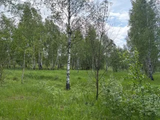 Земельный участок площадью 1597 кв.м, категория земель: "земли населенных пунктов", вид разрешенного использования "для ведения личного подсобного хозяйства (приусадебный земельный участок)", расположенный по адресу: Московская область, г. Кашира, мкр. Ожерелье. В соответствии со статьей 39.18…