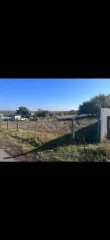 Земельный участок, 1000 кв.м, Белгородская область. Кадастровый номер: 31:15:0110002:66, категория земель: земли сельскохозяйственного назначения, вид разрешённого использования: для ведения гражданами садоводства и огородничества. Адрес: Российская Федерация, Белгородская область, м.о…