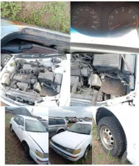 Nissan WINGROAD г/н К495СР 22; ВАЗ 21102 г/н М807РР 22, 2000 г.в.; ВАЗ 21100, г/н М413ТК22, 2000 г.в.; Toyota Corolla, г/н Х124ОН22, 1992 г.в.; Ford Focus, г/н Е629ХС22, 2005 г.в.; трактор МТЗ-80Л, г/н О346ЕК22; трактор ЮМЗ-6АЛ, г/н 6246 МТ22; ВАЗ 21074, г/н А726КХ22, 2002 г.в.; ВАЗ 2121, г/н…