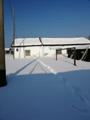 Здание детского сада Площадью 199,2 кв.м. Кадастровый номер: 66:623:0401001:646 Здание детского сада Площадью 431,2 кв.м. Кадастровый номер:66:23:0401001:645 Земельный участок Площадью 5035 кв.м. Категория земель: земли населенных               пунктов – дошкольное, начальное  и среднее общее…