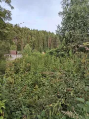 Земельный участок 509 кв.м для садоводства, кадастровый номер: 59:32:4560601:232, площадь: 509 +/- 5 кв.м, адрес: Пермский край, Пермский район, Бершетское с/пос. сдт "Строитель".