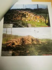 Древесина береза, осина, ель, ольха. Береза – 137,7 куб.м (деловая: крупная – 1,7 куб.м, средняя – 11,9 куб.м, мелкая – 0,5 куб.м, дровяная – 123,6 куб.м), осина – 181,8 куб.м (дровяная – 181,8 куб.м), ель – 95,2 куб.м (деловая: крупная – 1,2 куб.м, средняя – 17 куб.м, мелкая – 4,2 куб.м, дровяная…