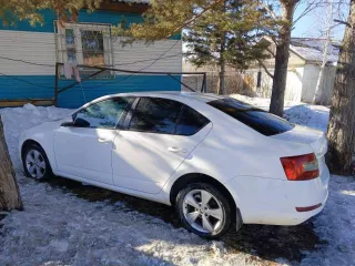 SKODA OCTAVIA, 2014 года выпуска, VIN XW8AC6NE2EH021495