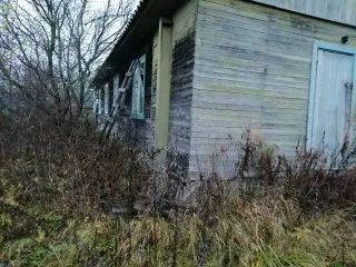 1/4 доли жилого помещения, 18.5 кв.м, д. Волкова, Вологодская область. 1/4 в праве общей долевой собственности на жилое помещение с кадастровым номером 35:02:0309009:262, расположенное в деревянном одноэтажном доме по адресу: Вологодская область, р-н Бабаевский, д Волкова, д 20, кв 2.