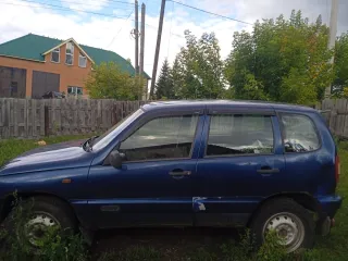 Шевроле Нива 2007 года, VIN X9L21230070181441.